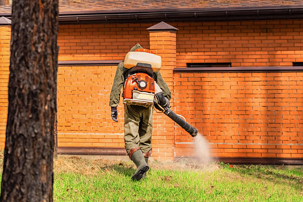 Trusted Ant Control service in Felton, CA - Nex Pest Control